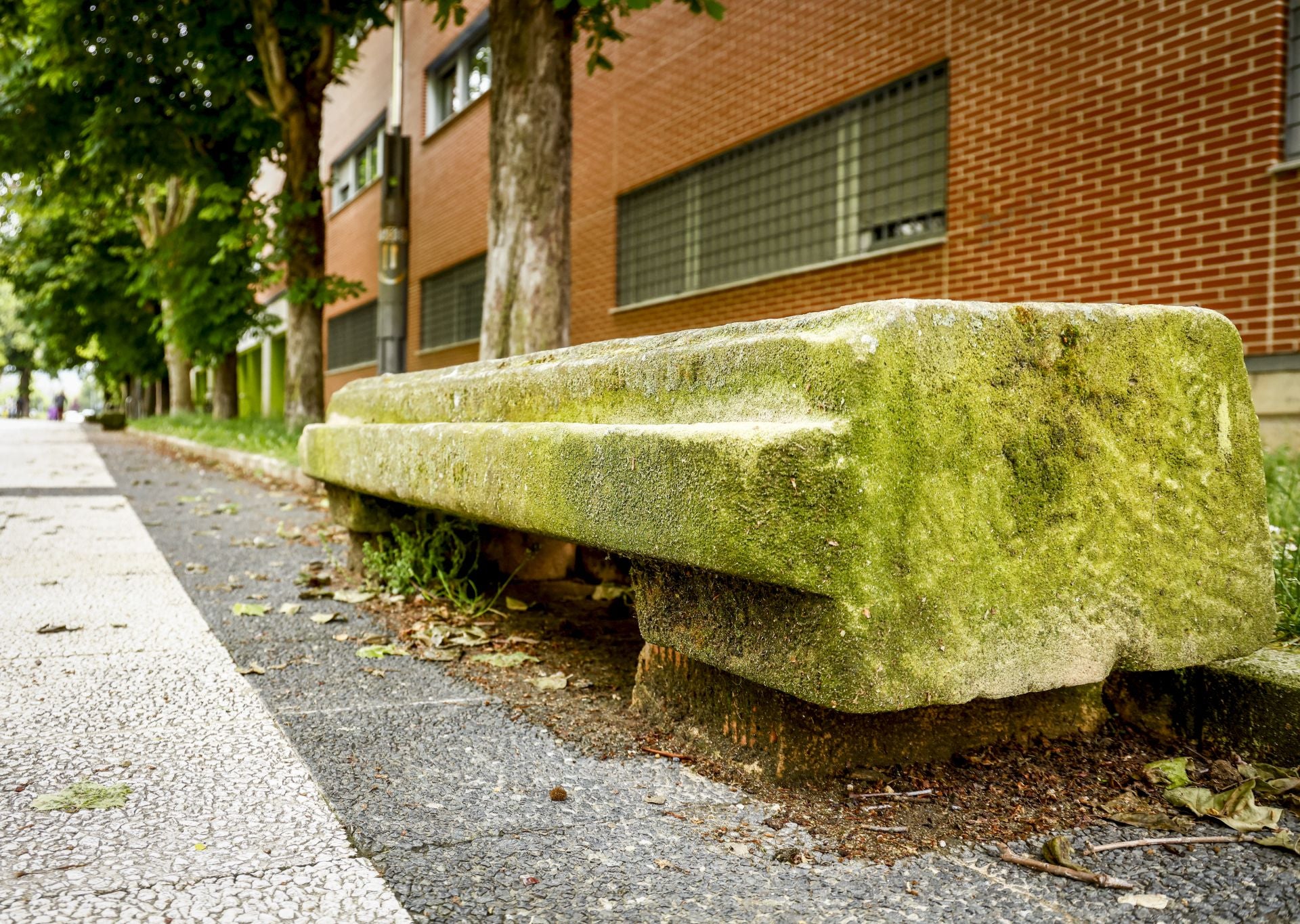 El mal estado de los bancos de Vitoria