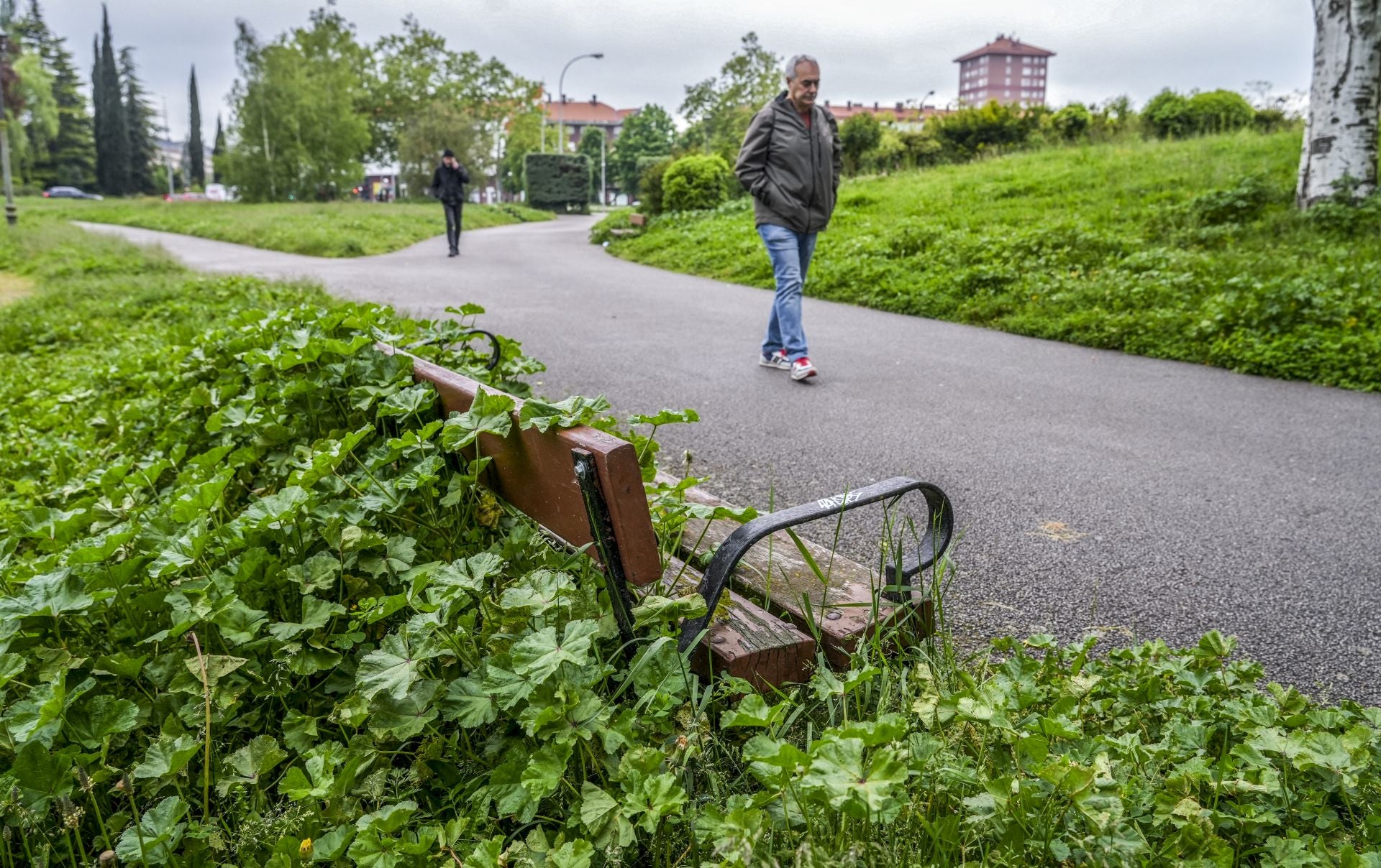 El mal estado de los bancos de Vitoria