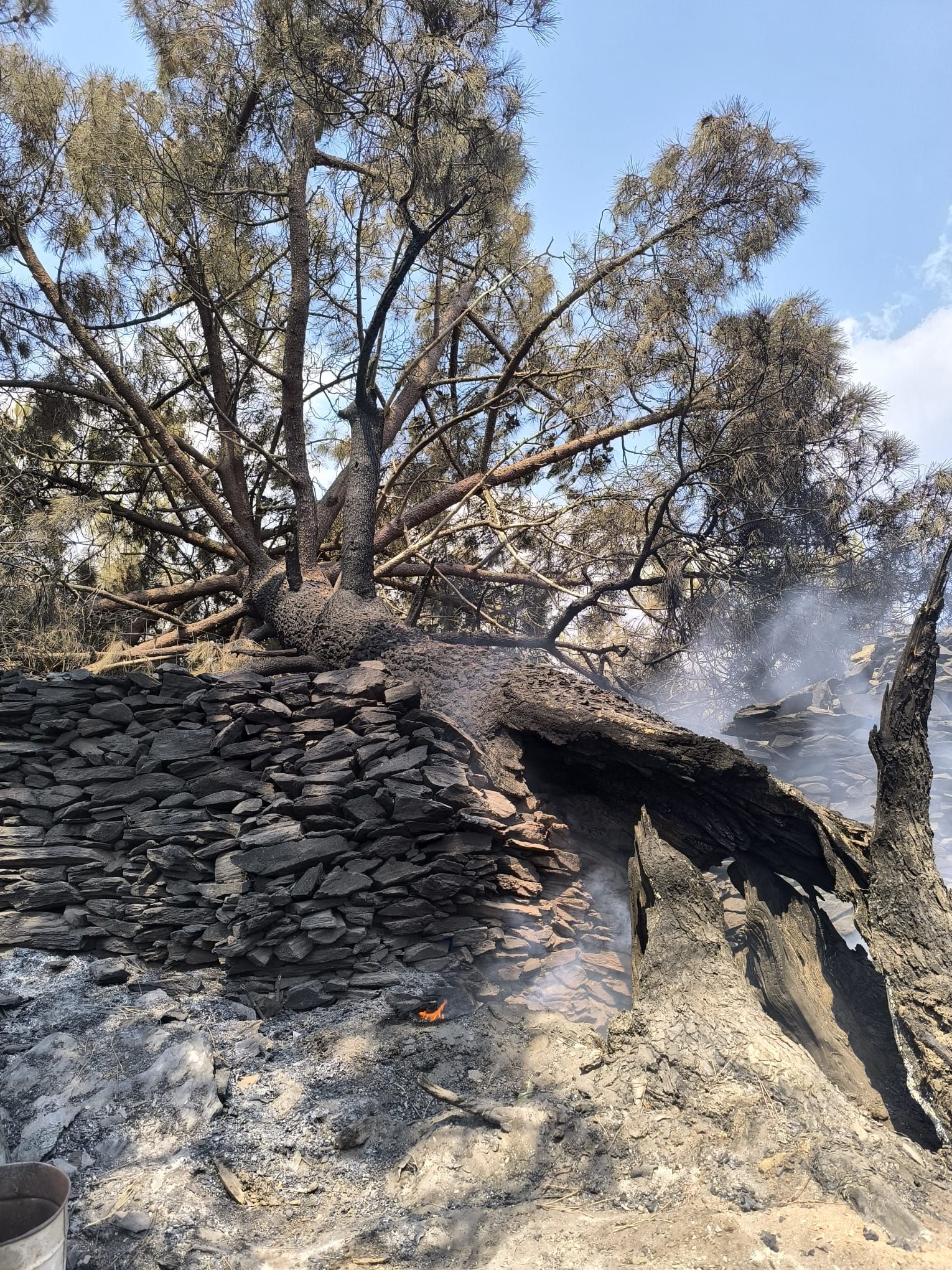 Las imágenes de la &#039;aldea vasca&#039; arrasada por el fuego en Ourense