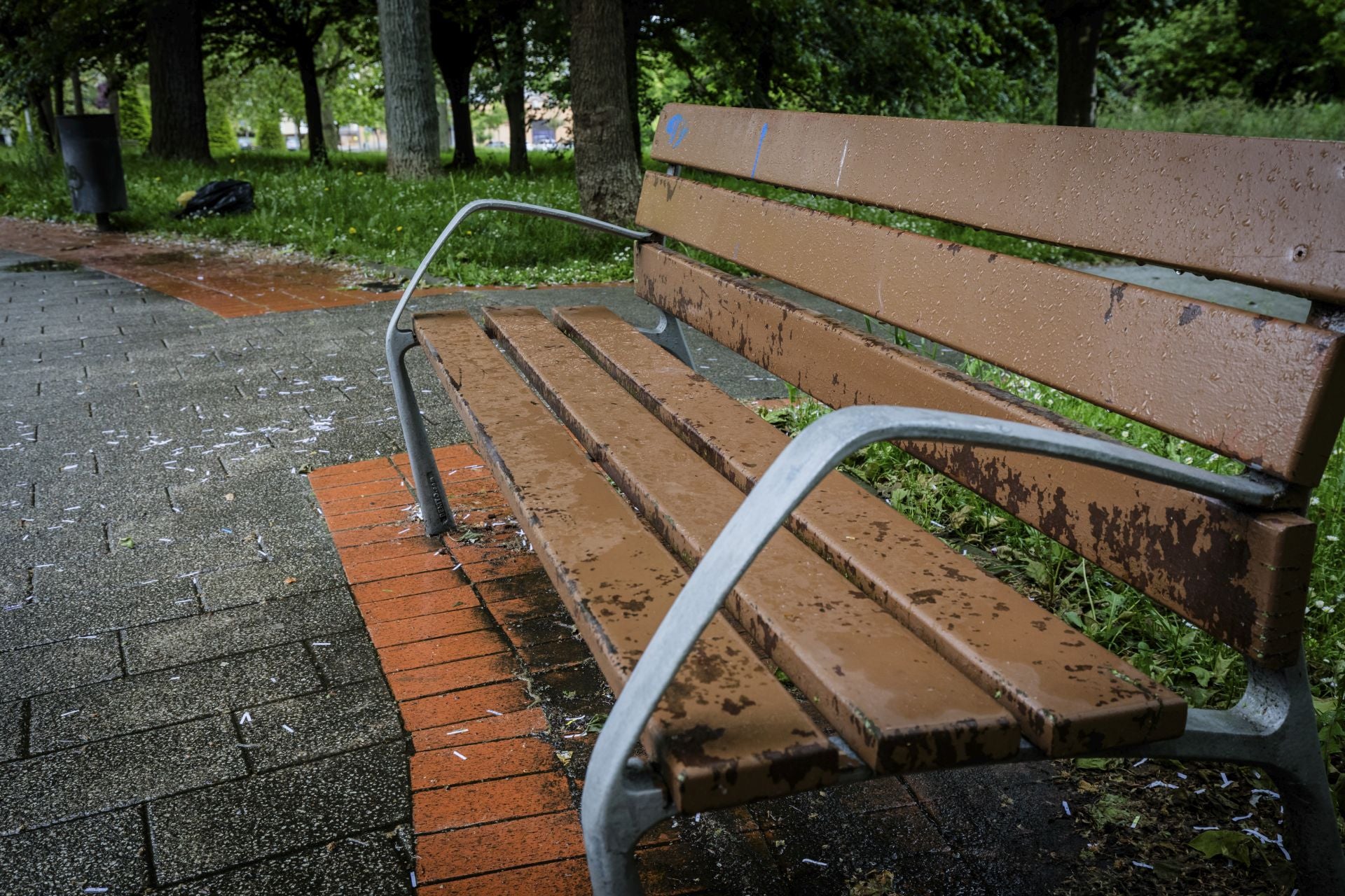 El mal estado de los bancos de Vitoria