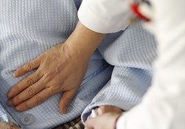 El vínculo entre el intestino y el cerebro es conocido desde hace años.