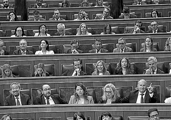 El virus de la ineptitud