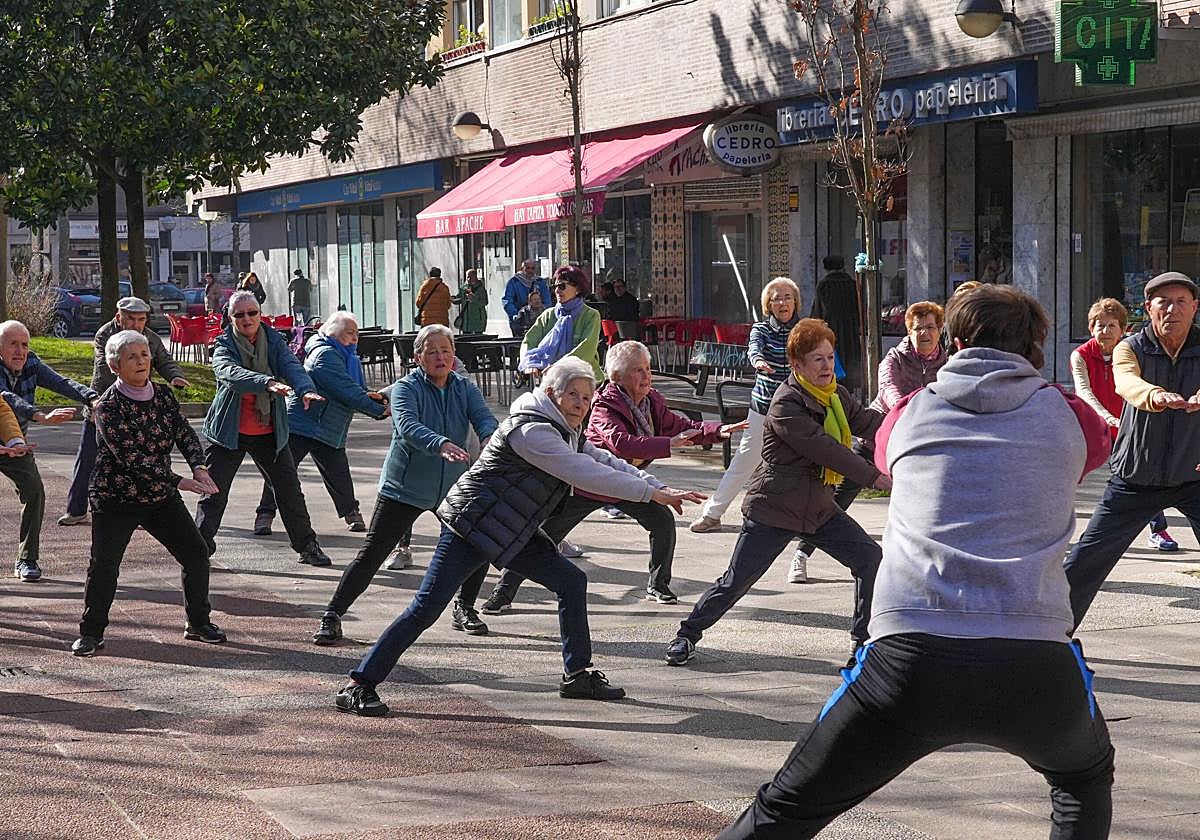 Un grupo de personas mayores hace ejercicio al aire libre.