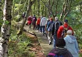 'Ibilbideak natur inguruetan' programa, 55 urte baino gehiagokoentzat