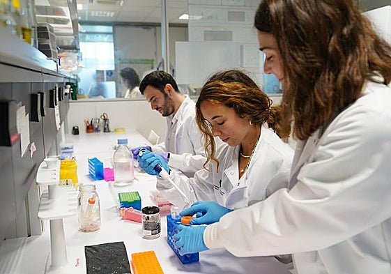 El programa espera incrementar el número de proyectos liderados por mujeres del 37% al 42%.