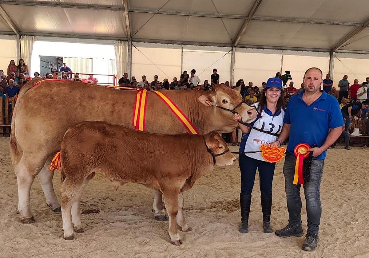 La mejor vaca de España es de Sopuerta