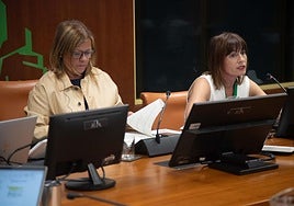 Esther Apraiz, a la derecha, durante su intervención en el Parlamento vasco.