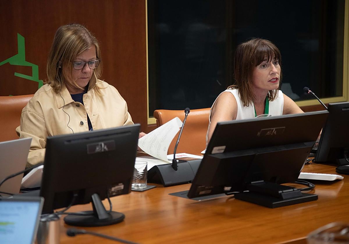 Esther Apraiz, a la derecha, durante su intervención en el Parlamento vasco.