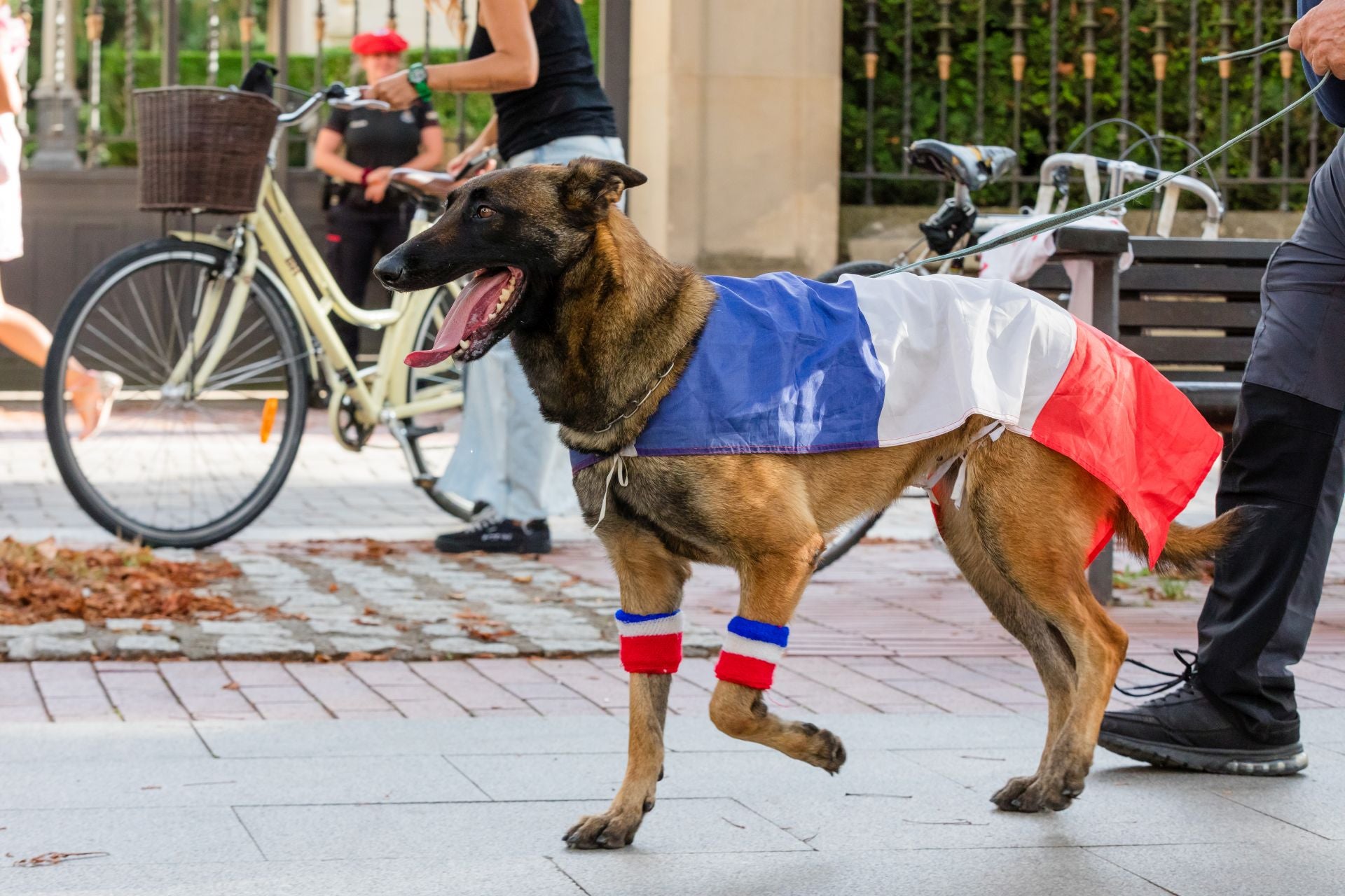 Las imágenes del Mundial canino en Vitoria