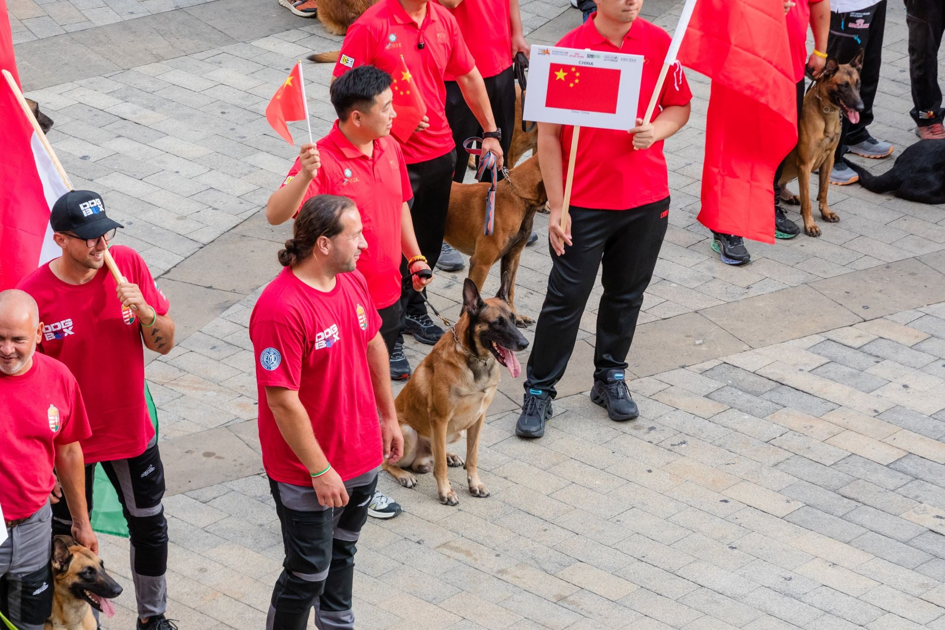 Las imágenes del Mundial canino en Vitoria