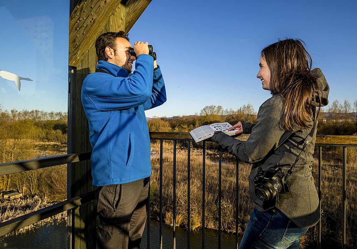 60 propuestas para disfrutar de la naturaleza en otoño en Vitoria