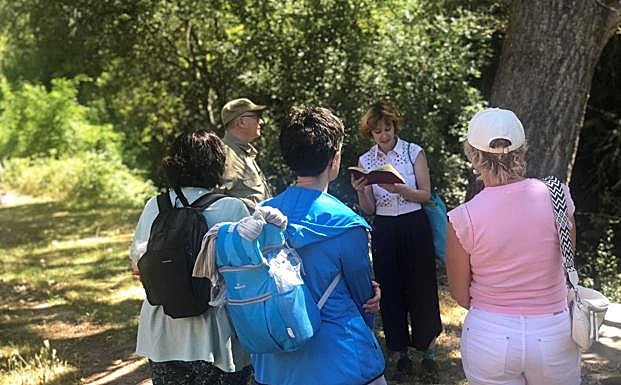 El bosque era el lugar al que le gustaba escapar en su niñez y su adolescencia.