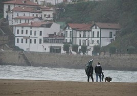 ¿Por qué tenemos estaciones?
