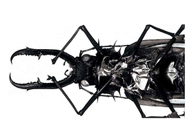 'Mezzanine', el álbum icónico de Massive Attack, el primer grupo grande en boicotear a Spotify