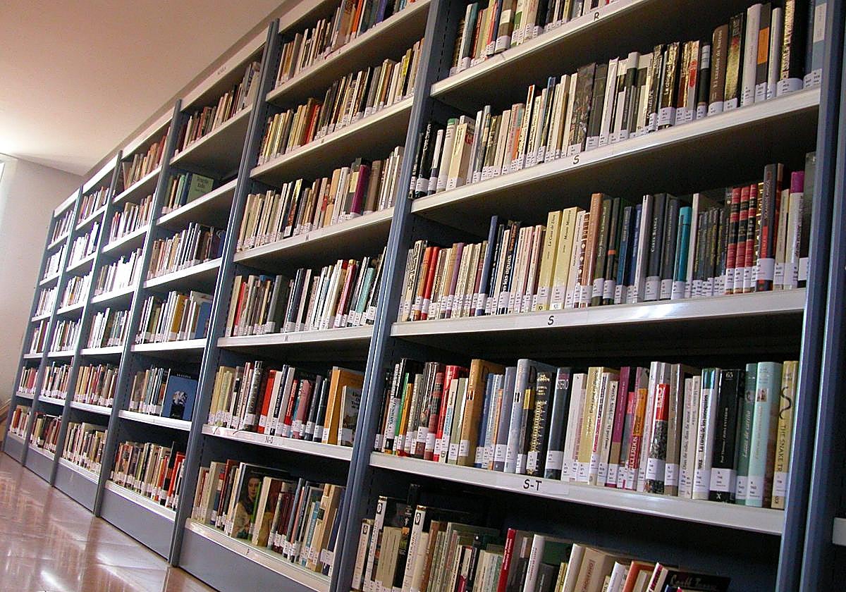 Liburutegi baten apalak.