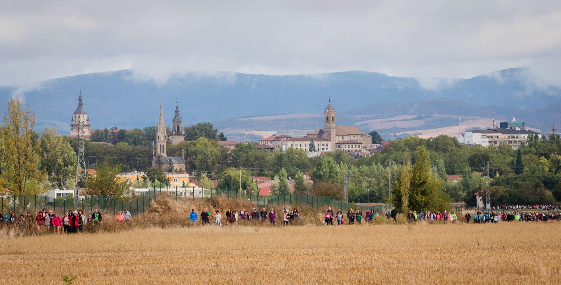 XII Marcha Solidaria Green de EL CORREO