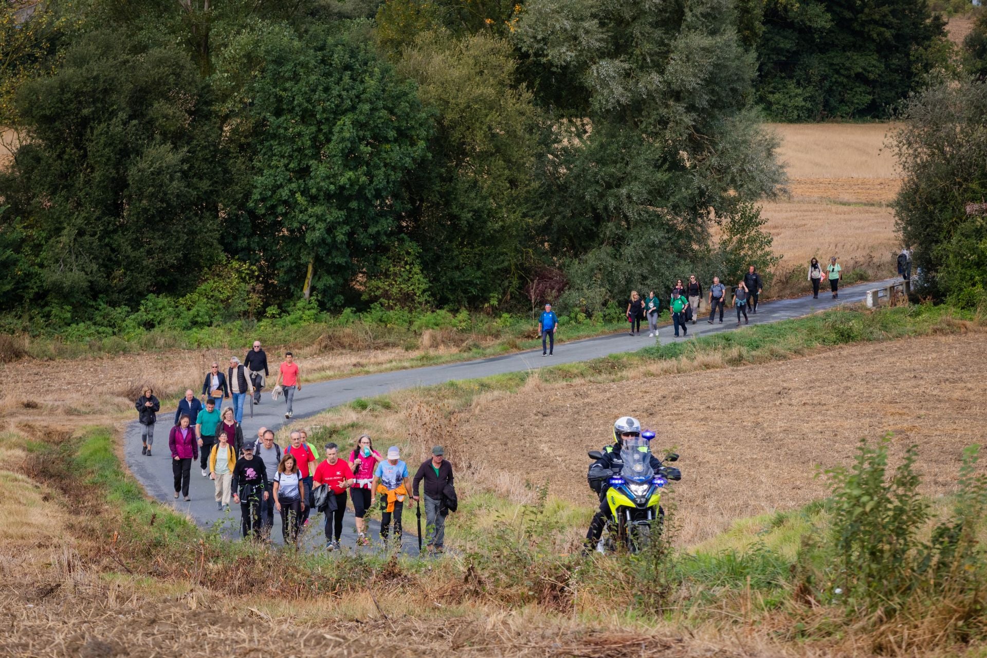 XII Marcha Solidaria Green de EL CORREO