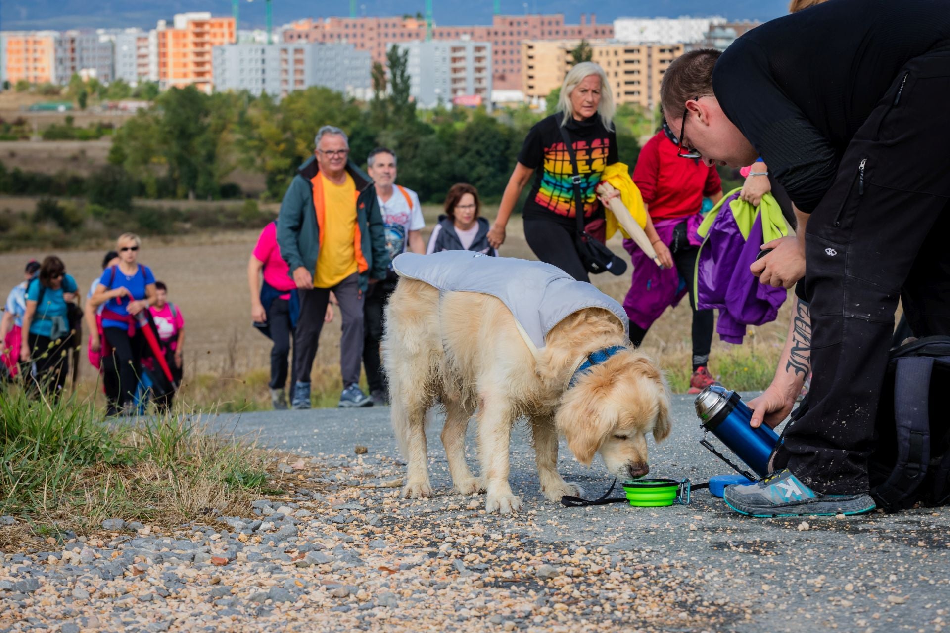 XII Marcha Solidaria Green de EL CORREO