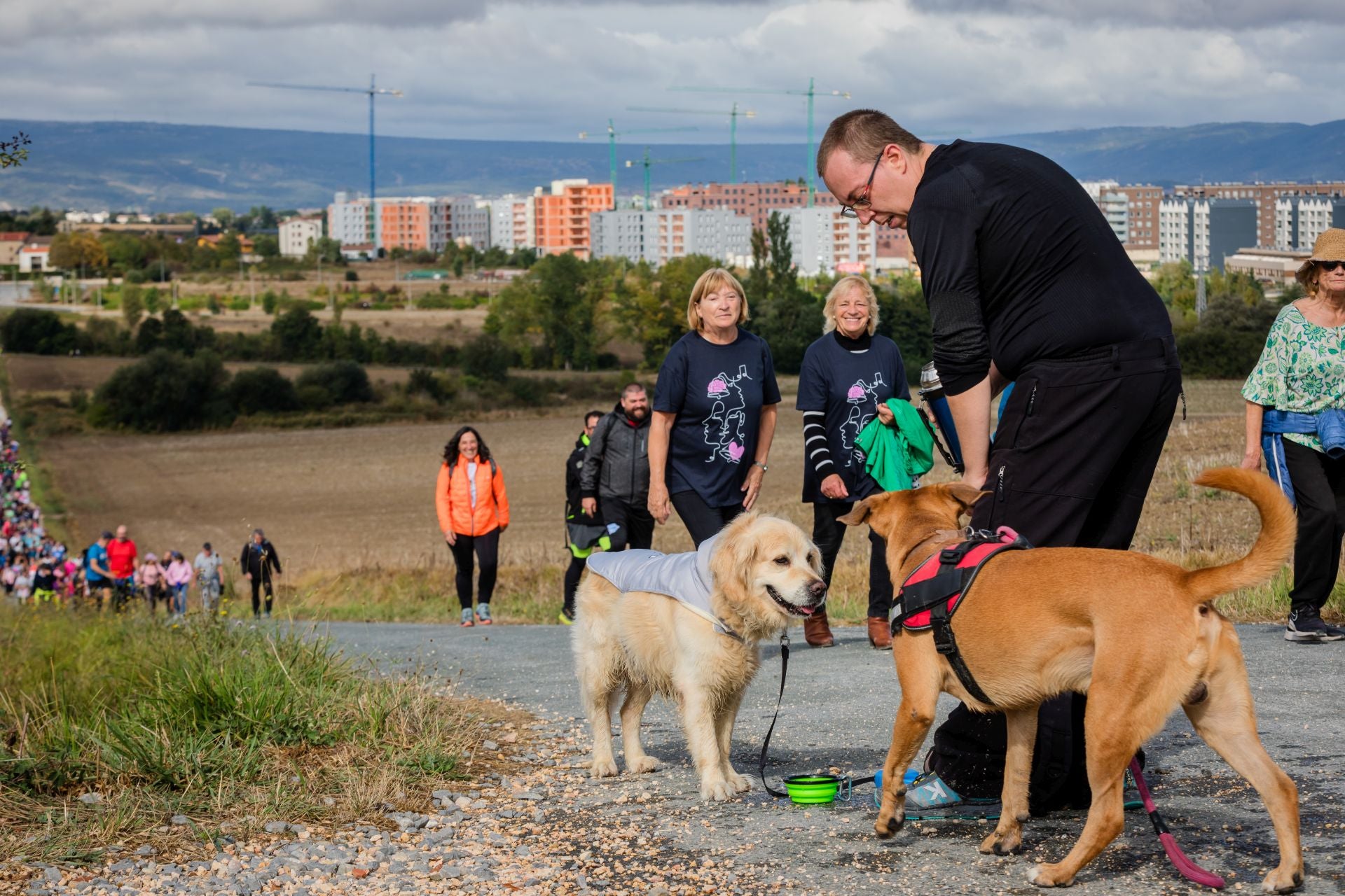 XII Marcha Solidaria Green de EL CORREO