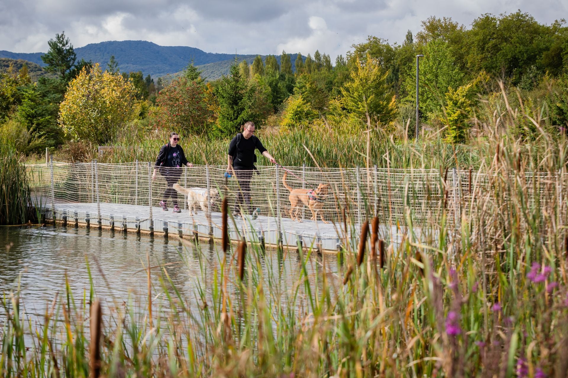 XII Marcha Solidaria Green de EL CORREO