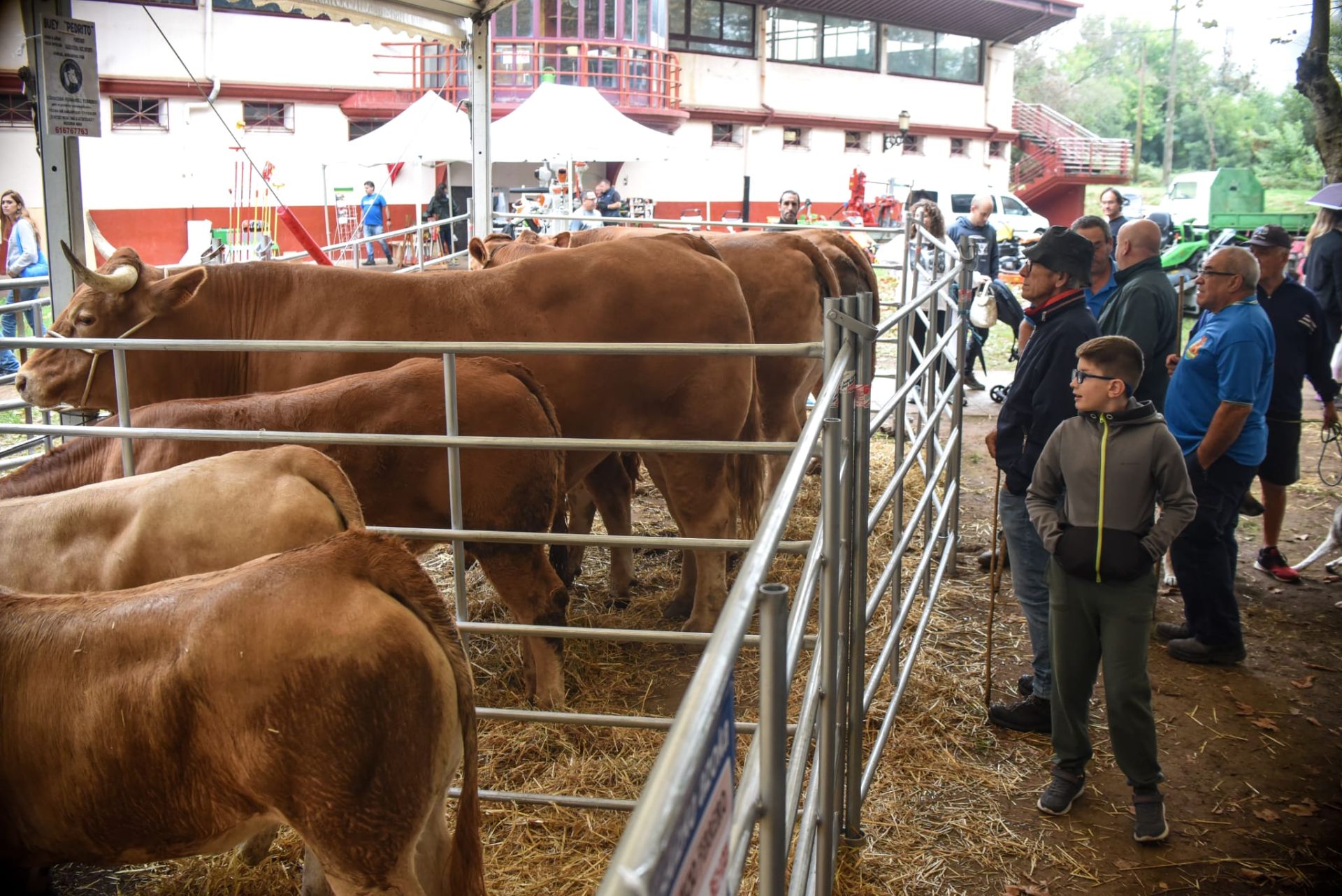 Lo mejor del agro vasco se cita en la Feria Agrícola y Ganadera de Muskiz