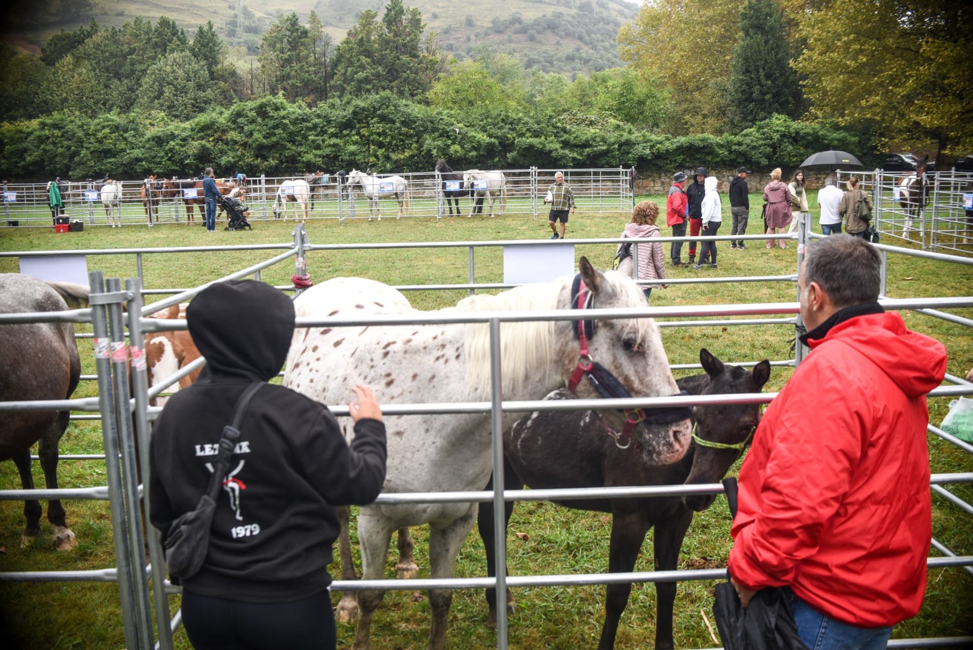 Lo mejor del agro vasco se cita en la Feria Agrícola y Ganadera de Muskiz