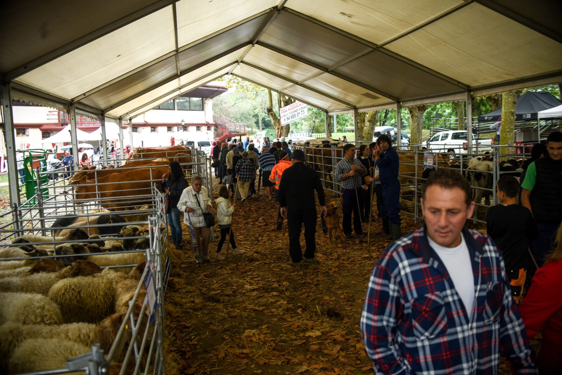 Lo mejor del agro vasco se cita en la Feria Agrícola y Ganadera de Muskiz