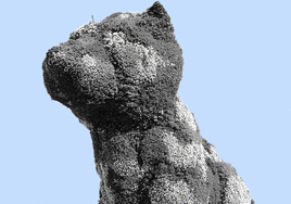 38.000 plantas, 30 operarios... Puppy se prepara para vestirse de otoño