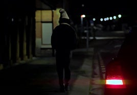 Reconstrucción del caso de Virginia Acebes.