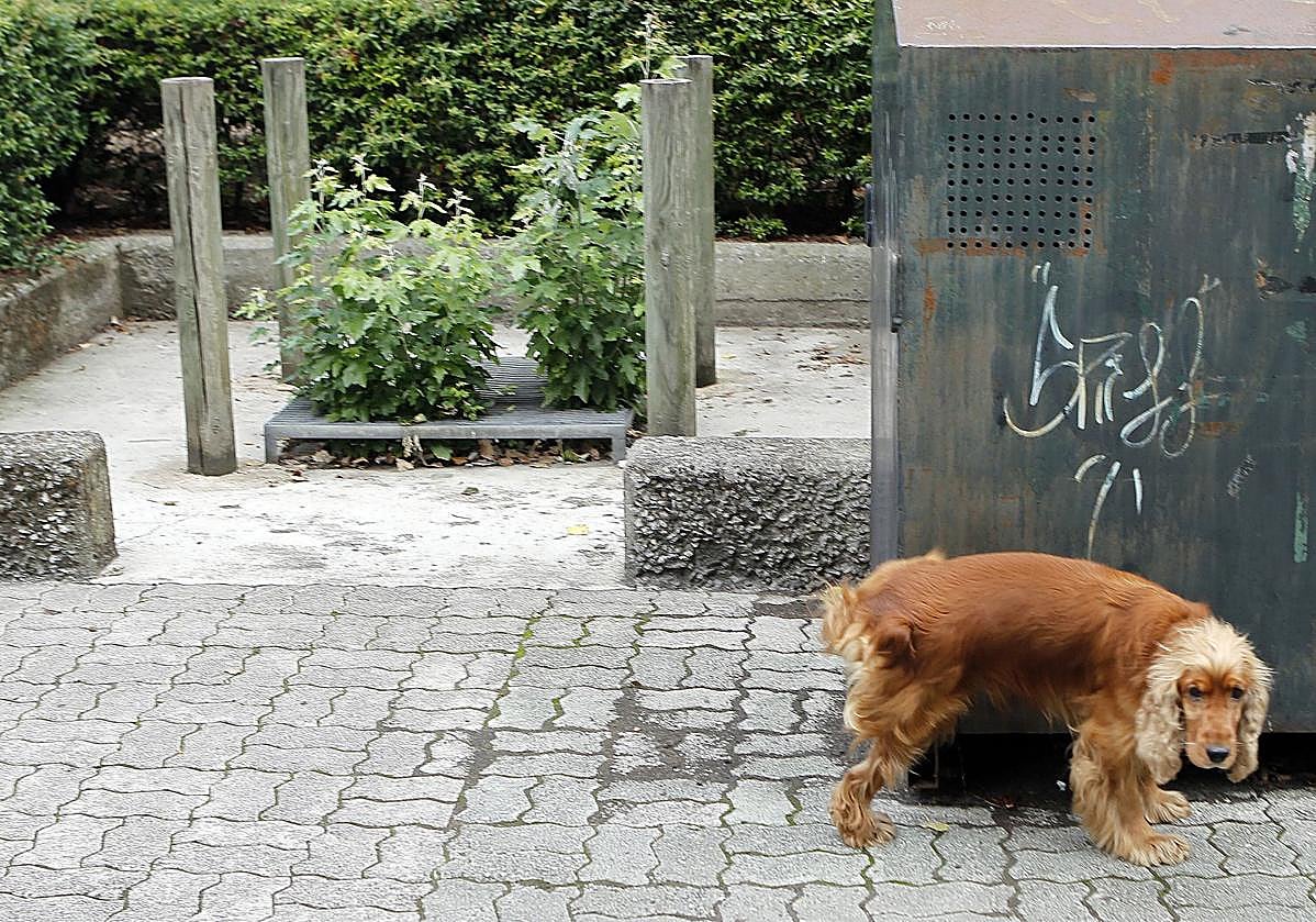 La difusión de estos expedientes busca concienciar y mejorar la convivencia entre el conjunto de etxebarritarras.