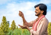 Cuatro superalimentos que te llenan de proteínas, vitaminas, minerales y antiinflamatorios