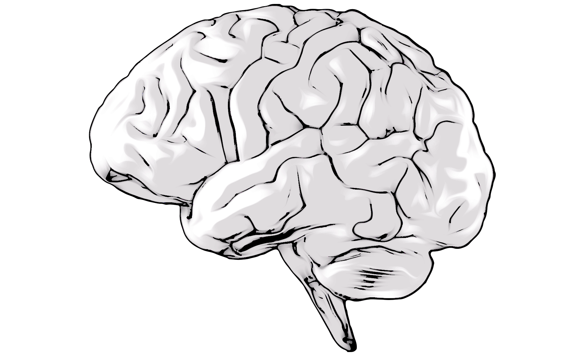 Scroll Story imagen 4