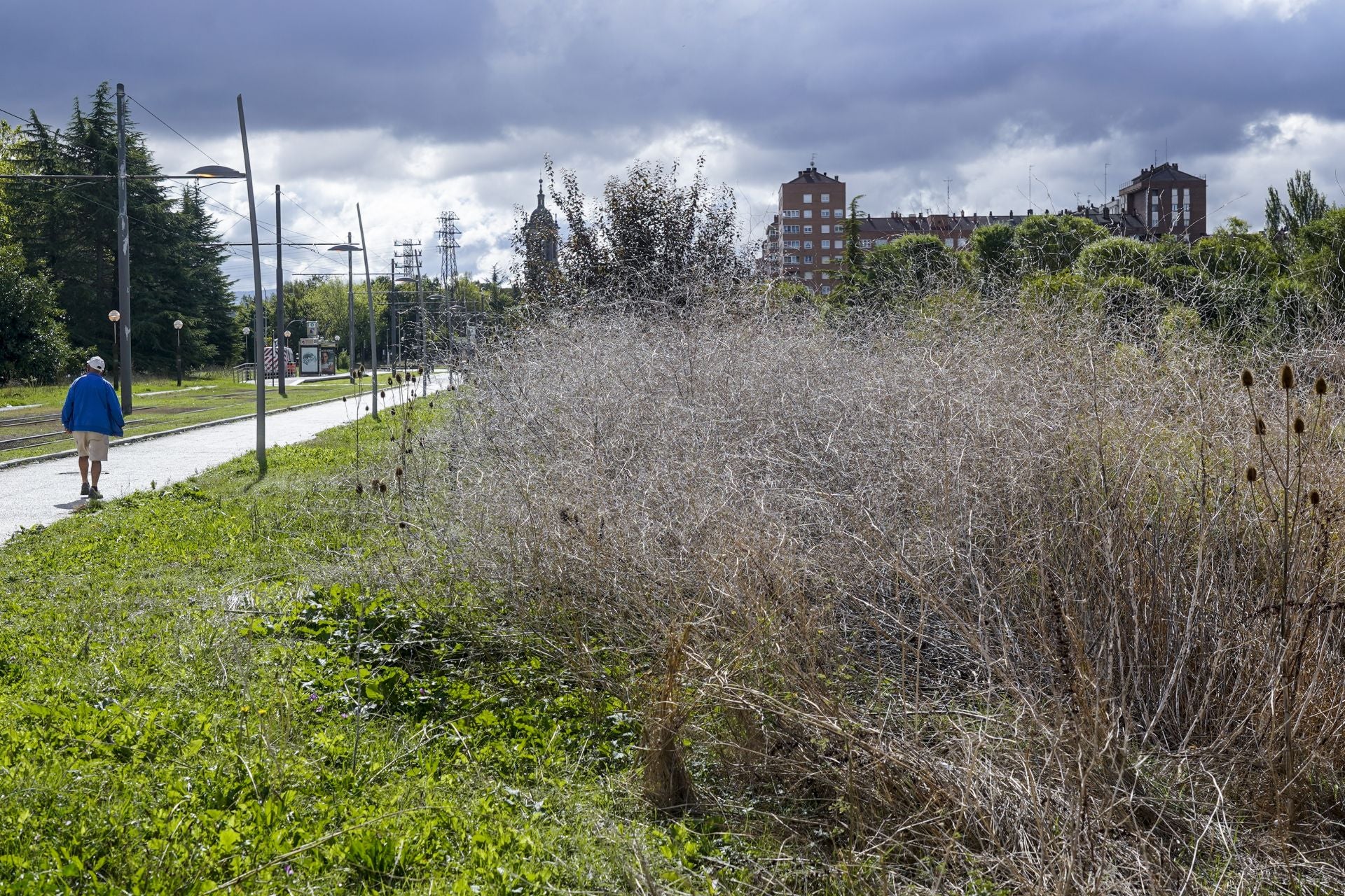 La huelga de jardineros de Vitoria alcanza el medio año con la solución del conflicto «aún lejana»