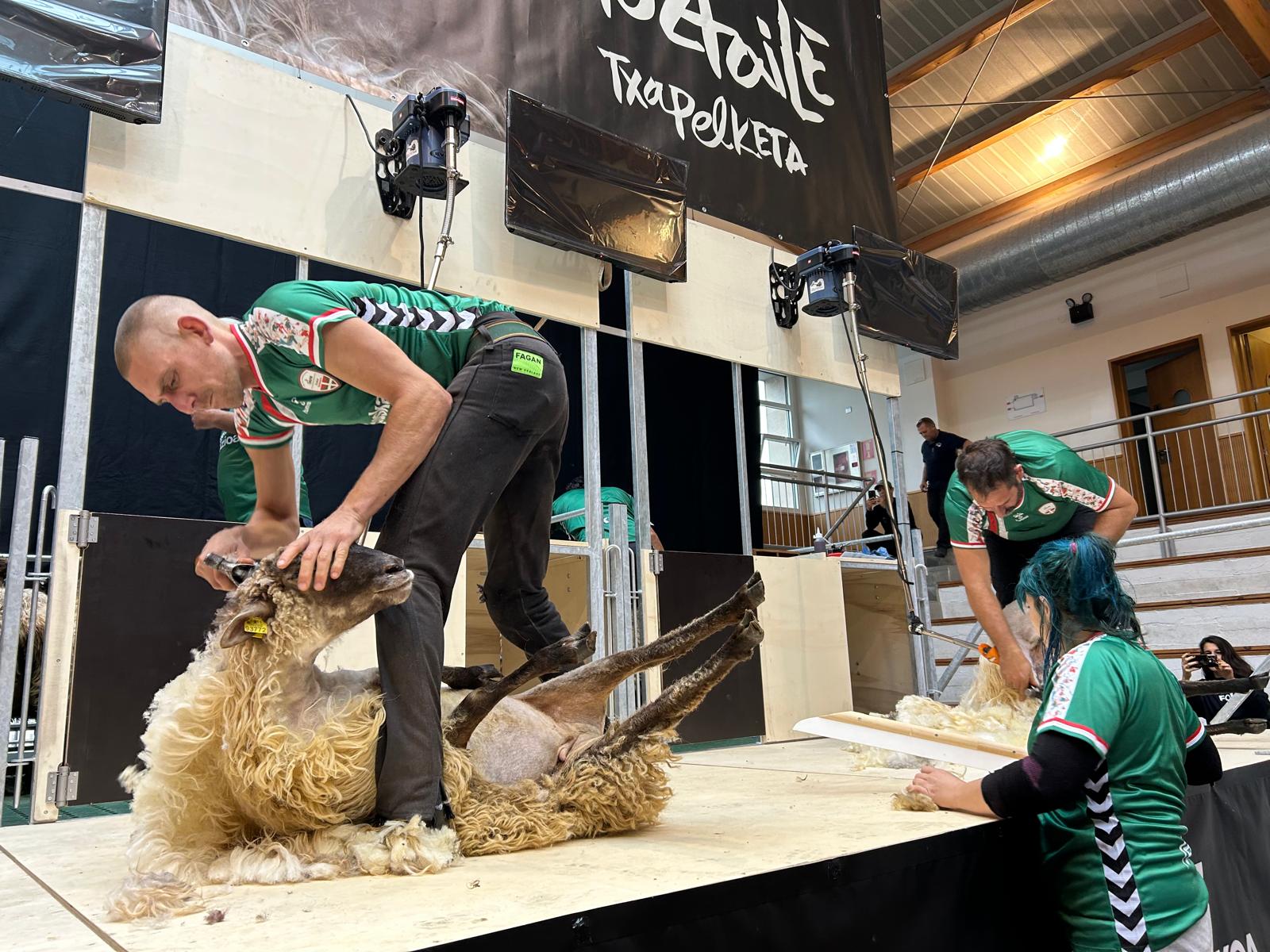 Exhibición de esquiladores en Abadiño