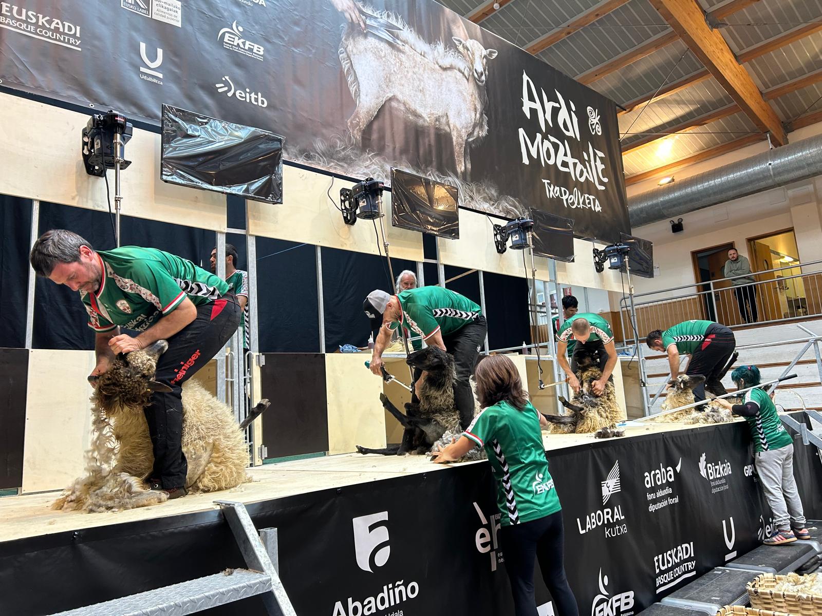 Exhibición de esquiladores en Abadiño