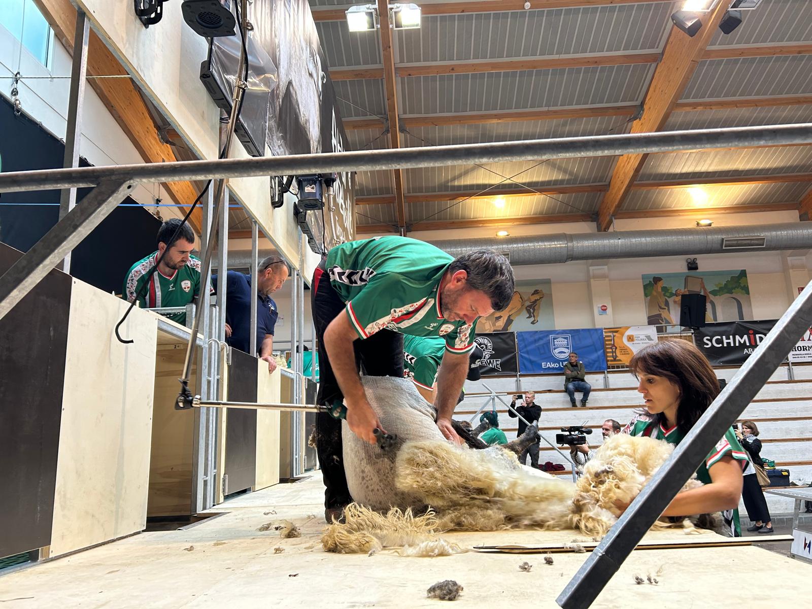 Exhibición de esquiladores en Abadiño