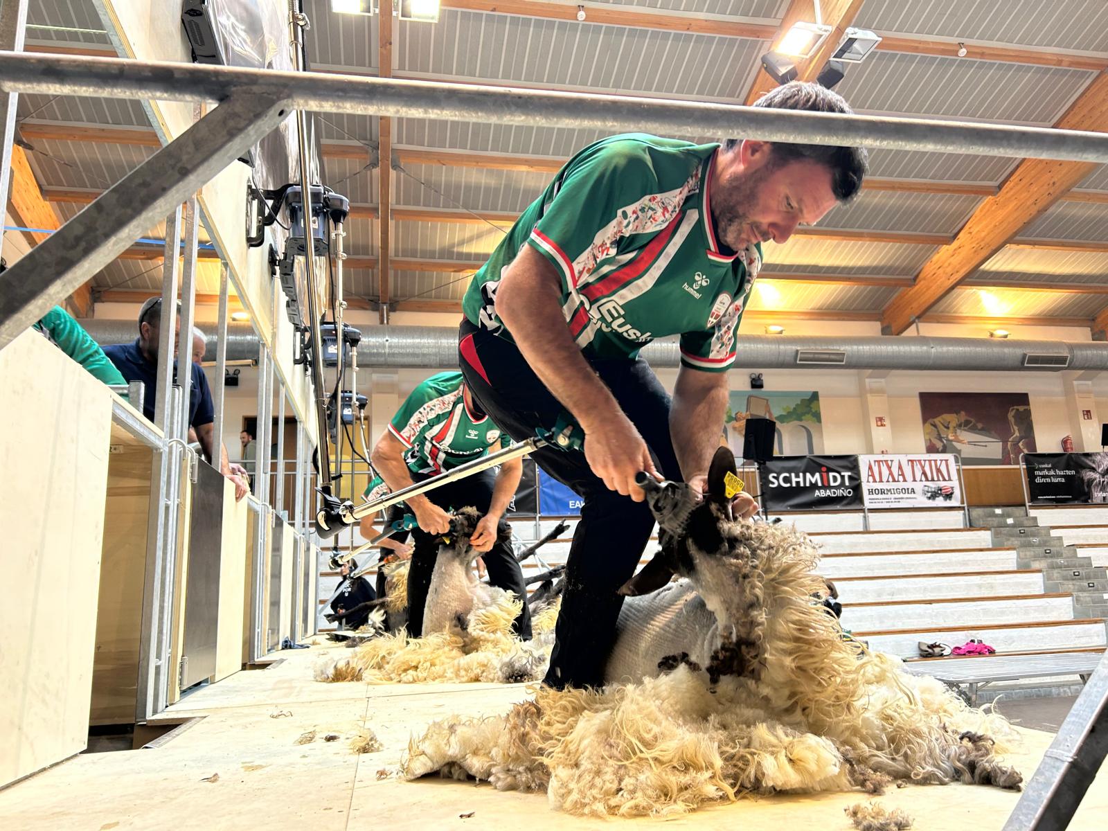 Exhibición de esquiladores en Abadiño