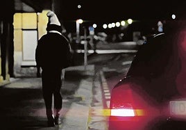 Reconstrucción del caso de Virginia Acebes.