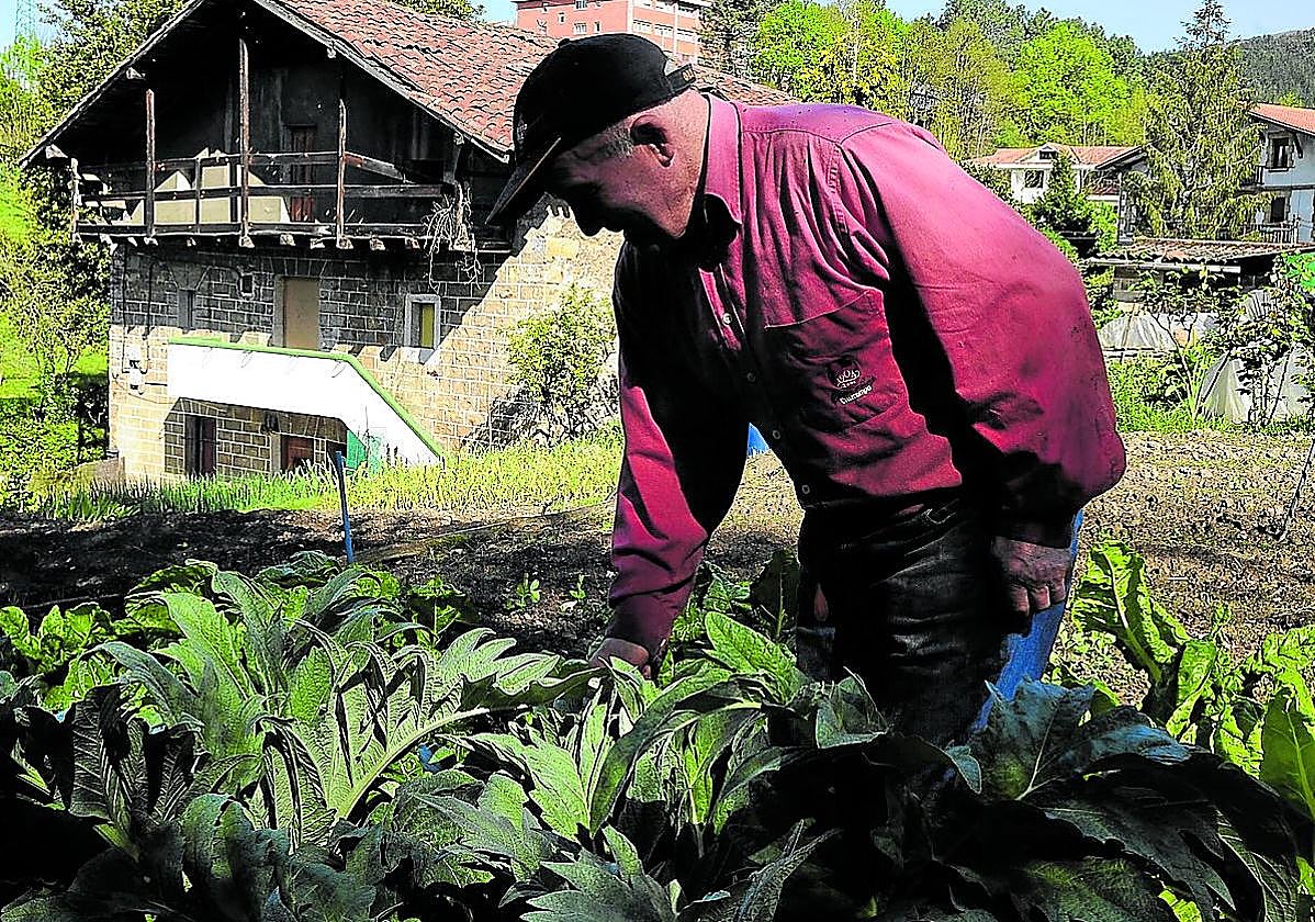 Un hombre trabaja en su huerta en Galdakao, en una imagen de archivo.