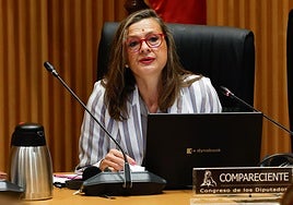La delegada del Gobierno contra la Violencia de Género, Carmen Martínez Perza, comparece ante el Congreso de los Diputados