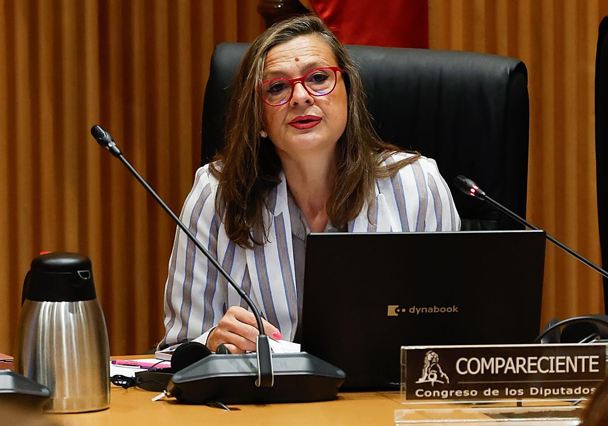 La delegada del Gobierno contra la Violencia de Género, Carmen Martínez Perza, comparece ante el Congreso de los Diputados