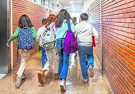 Educación aprobó en 2024 un decreto específico de respuesta a la diversidad, donde se detallan las distintas medidas de apoyo.
