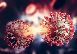 Imagen digital del covid-19.