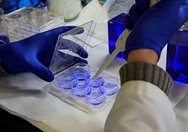 Las deducciones arrancan como avanzadilla sin Gipuzkoa y Bizkaia