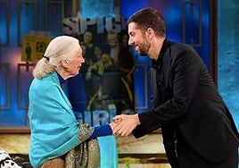El recuerdo de David Broncano a la fallecida Jane Goodall: «Tenía una energía increíble»
