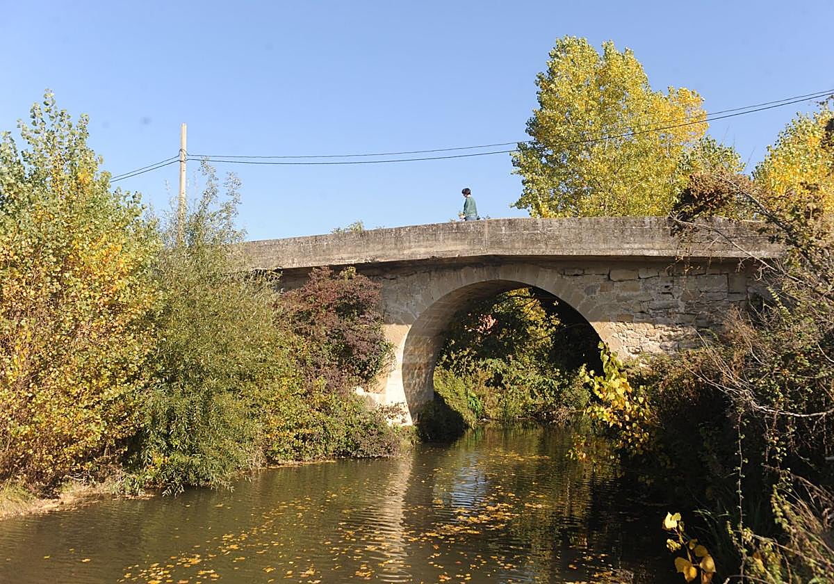 Alerta de contaminación en el río Ayuda entre Treviño y el municipio alavés de Berantevilla