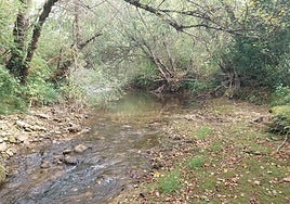 El río Ayuda es uno de los afluentes del Zadorra.