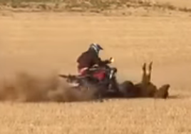 Momento en el que el quad pasa por encima de la vaquilla.