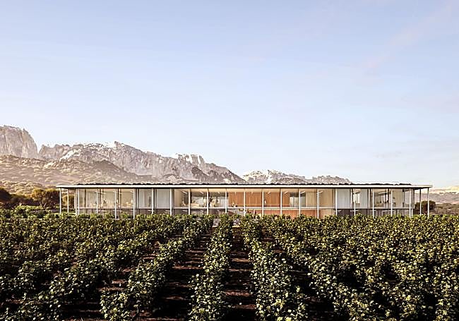 Así será una de las sedes del proyecto EDA Drinks & Wine Campus.