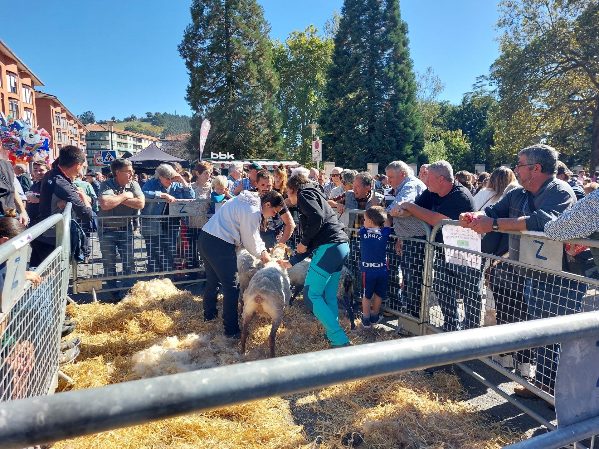 El Día de Gangas 2025 de Zalla en imágenes